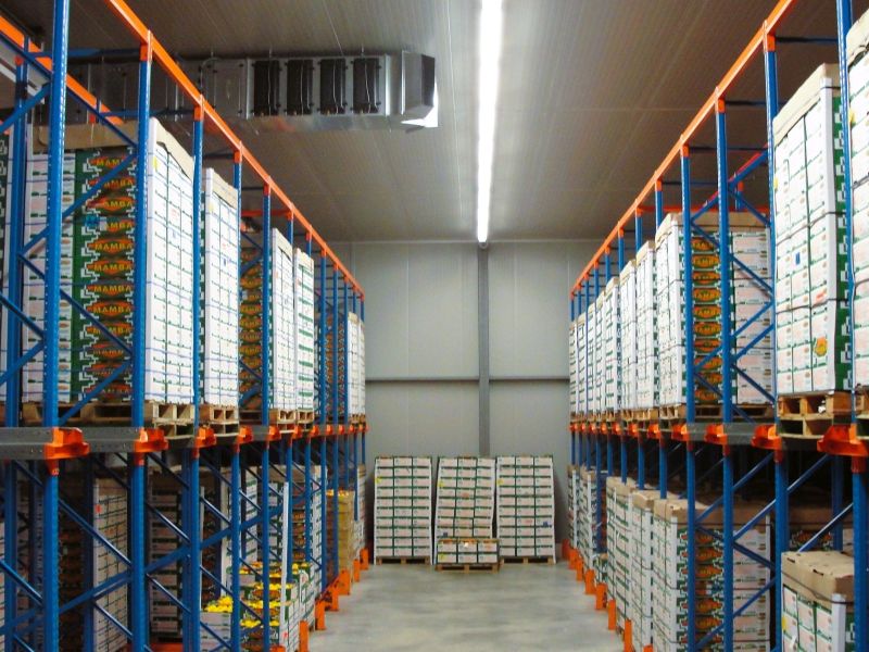 Luchtdesinfectie voor fruit en groente