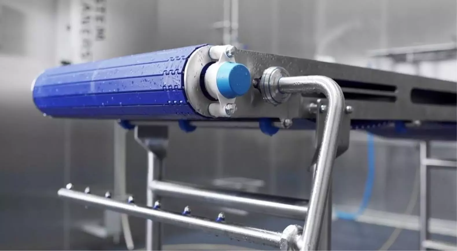 Conveyor belt disinfection